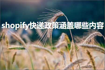 璺ㄥ鐢靛晢鐭ヨ瘑:shopify蹇€掓斂绛栨兜鐩栧摢浜涘唴瀹? width=