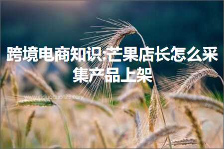 璺ㄥ鐢靛晢鐭ヨ瘑:鑺掓灉搴楅暱鎬庝箞閲囬泦浜у搧涓婃灦